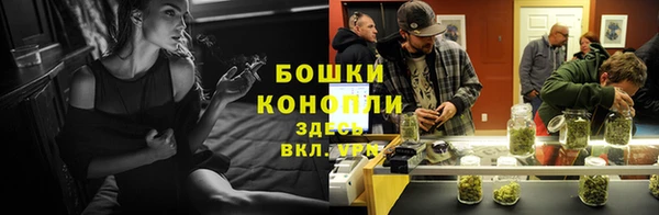 дживик Белоозёрский