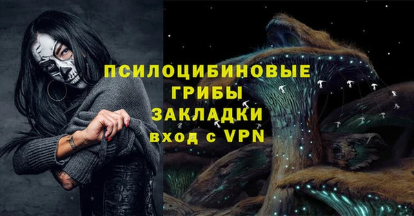 дживик Белоозёрский