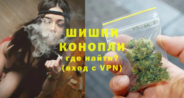 гидропоника Белокуриха