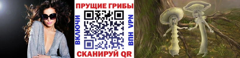 hydra зеркало  Великие Луки  Галлюциногенные грибы Psilocybine cubensis 